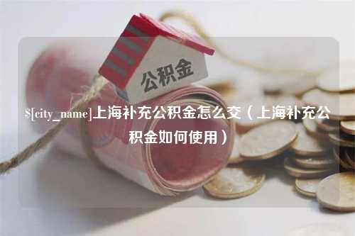 长葛上海补充公积金怎么交（上海补充公积金如何使用）